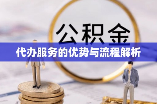 马山代办服务的优势与流程解析