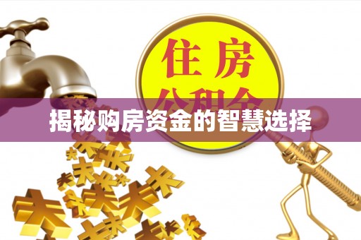 马山揭秘购房资金的智慧选择
