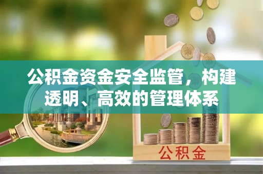 马山公积金资金安全监管，构建透明、高效的管理体系