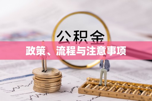 马山政策、流程与注意事项